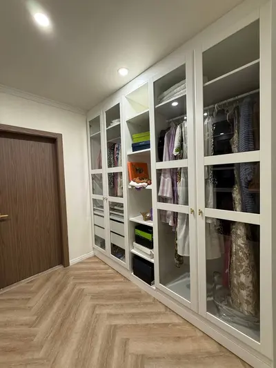 Custom glass-front wardrobe storage with shelving and drawers in Van Nuys